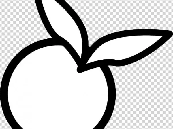 Peach Flower Clipart Orange - Look Mi Orange Black And White Personality Outdoor