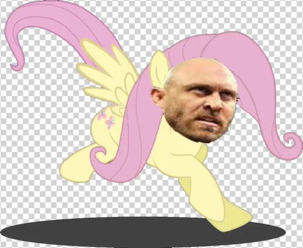 Post By Hawk Hart On Jul 28, 2013 At - Fluttershy Mbti