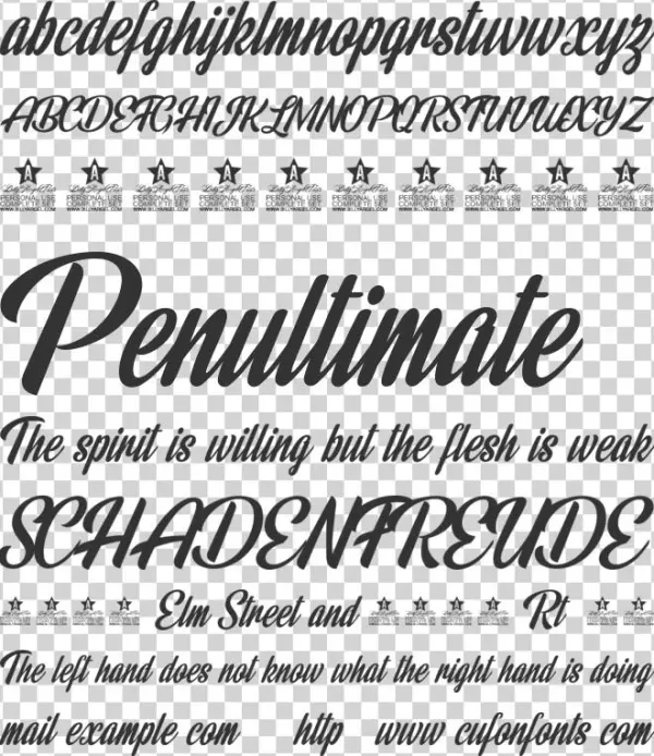 Rainbow Bridge Personal Use Regular - Calligraphy