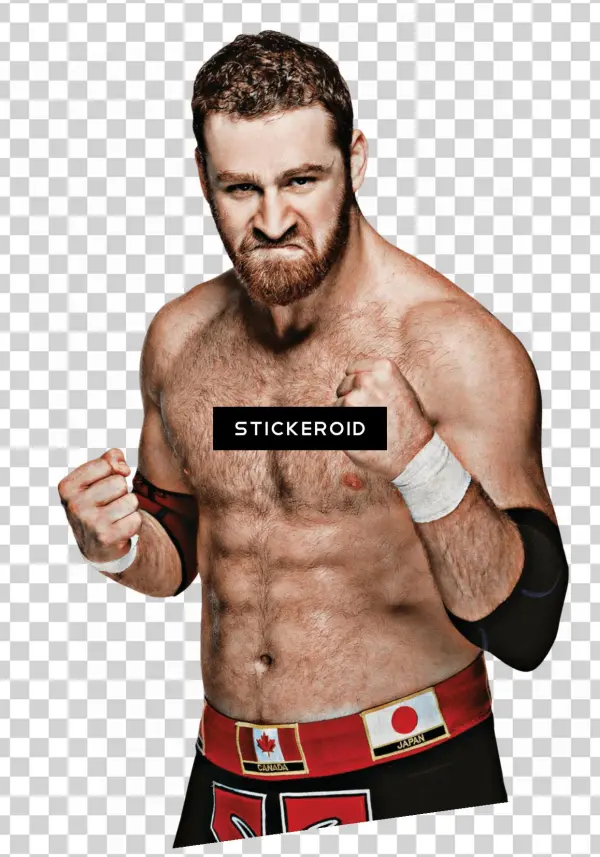 Sami Zayn - Jada Toys Wwe Wrestling Nano Metalfigs Sami Zayn Diecast