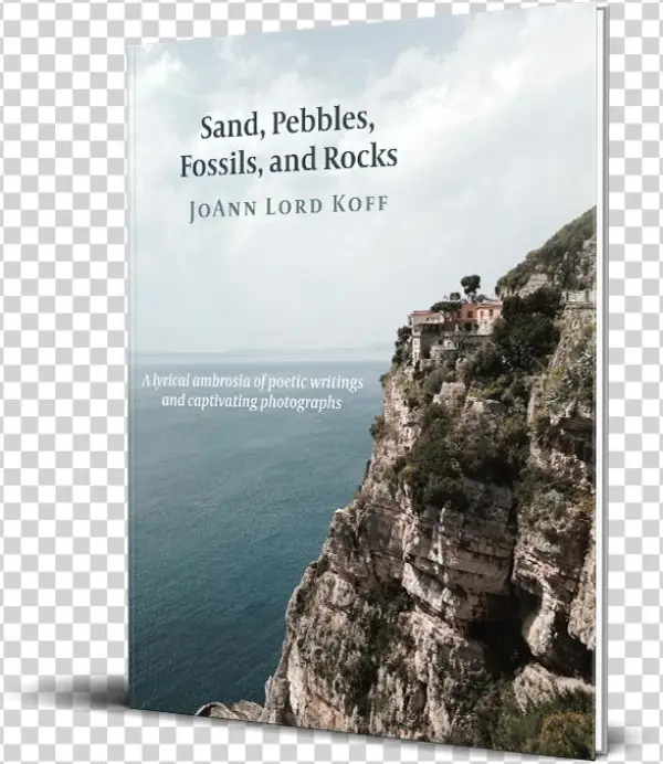 Sand, Pebbles, Fossils, And Rocks - Sappho Publishing