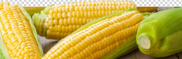 The Corn Then Goes Through A Quick Heat Treatment To - Table