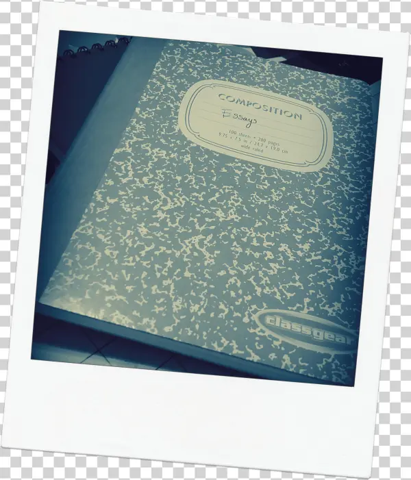 The First Entry In The Composition Book Brought Back - Death At An Early Age: The Destruction Of The Hearts