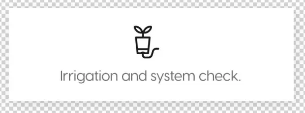 A Green Wall Is Constantly Evolving, And Its Success