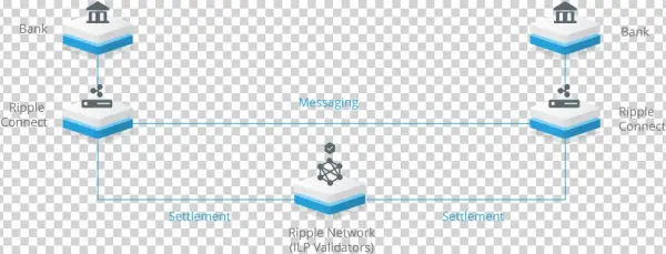 According To Ripple