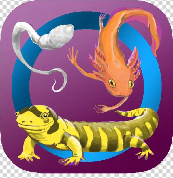 App Development - Lineage