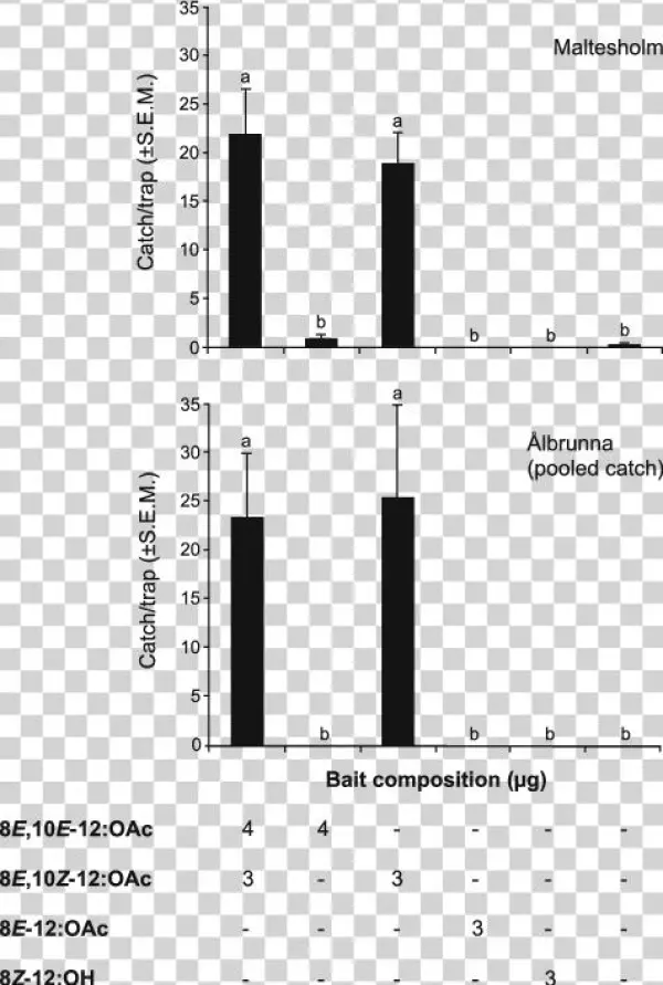 Cydia Strobilella Males Caught In Traps Using Different