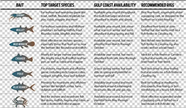 Fishing With Live Bait - Paper