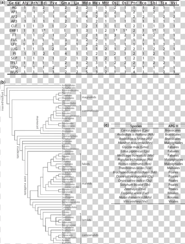 Gene Conservation Data, Species Used, And Their Placement - Darkness