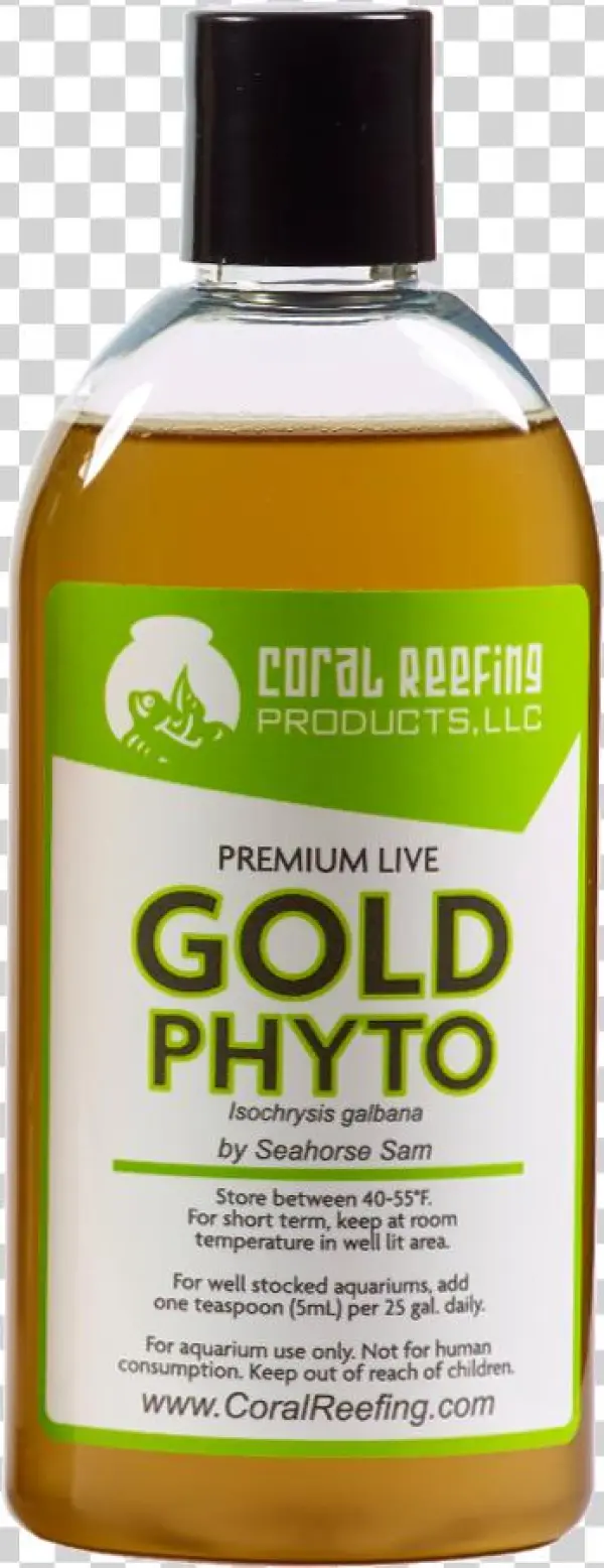 Home / Phytoplankton