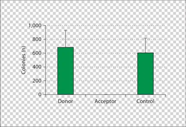 Influence Of Maresome Tm Prepared From Biomass Of Bio33 - Diagram