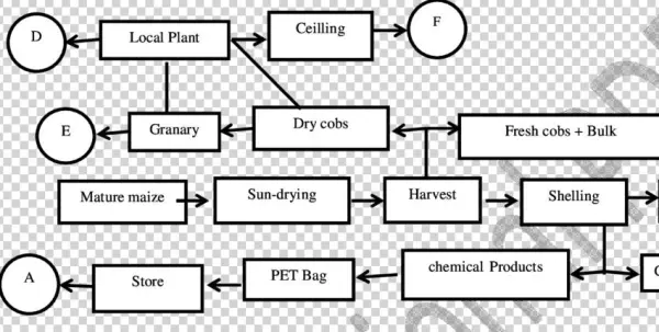 Maize Storage Technologies Identified