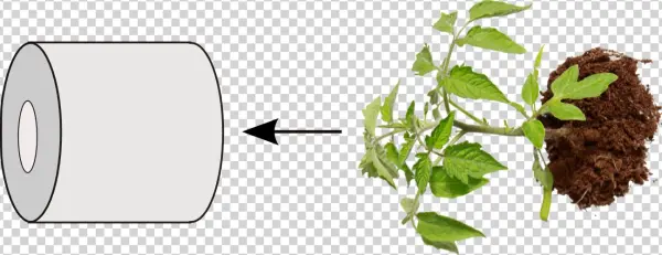 Put The Upside Down Planter On A Hook And Then Fill - Innovation In Healthy And Functional Foods By Dilip