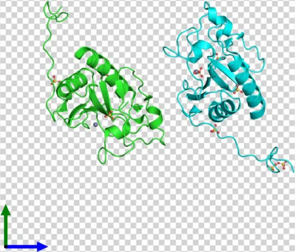 Ribbon Structure Of 3m1n