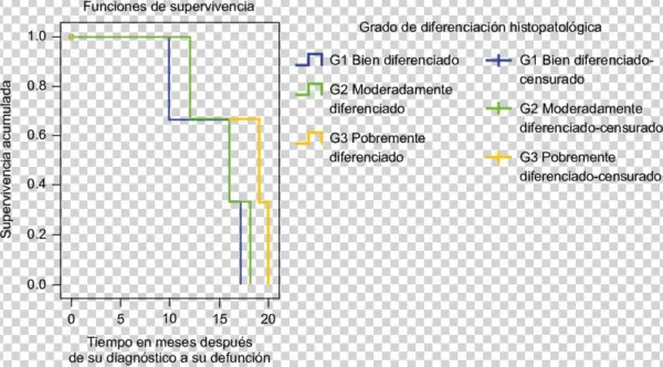 Supervivencia A 60 Meses De Pacientes Con Cáncer De