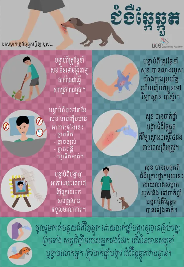 The Educational Poster About The Treatments For Your - Blog