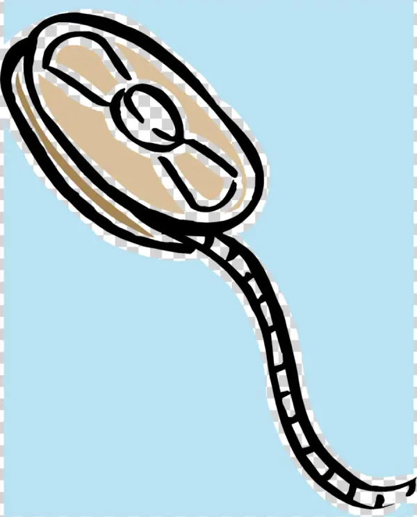 Clip Art Clipart Photographic Film Video Film Stock