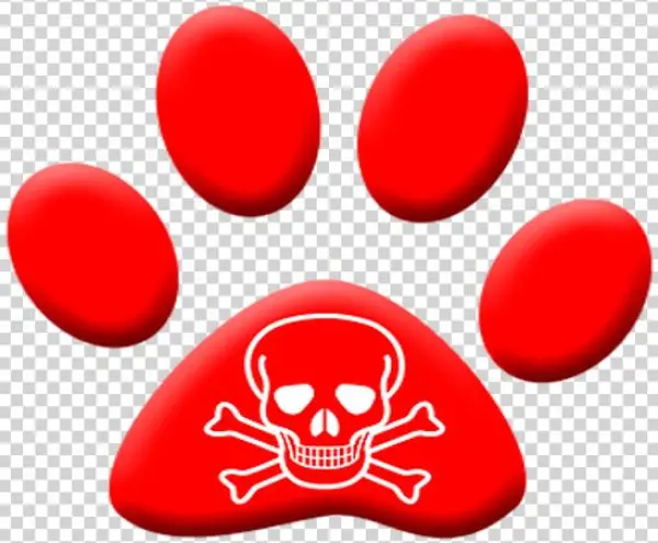 Como Actuar En Caso De Intoxicación O Envenenamiento