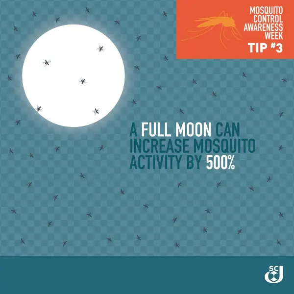 Sc Johnson On Twitter