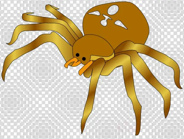 Spider Clipart Brown Recluse Spider Spider Web Clip