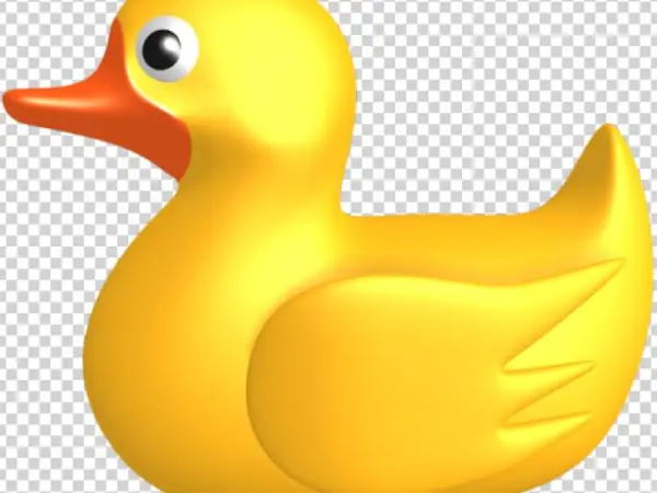 Swan Png