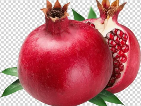 Wreath Clipart Pomegranate