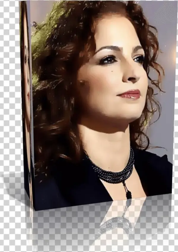 18 Playbacks Para Cantantes