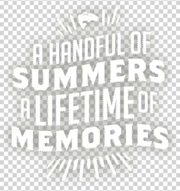 18 Summers Microsite On Mobile A Handful Of Summers,