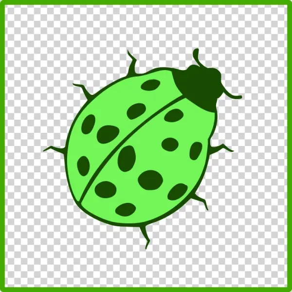 Beetle Icon