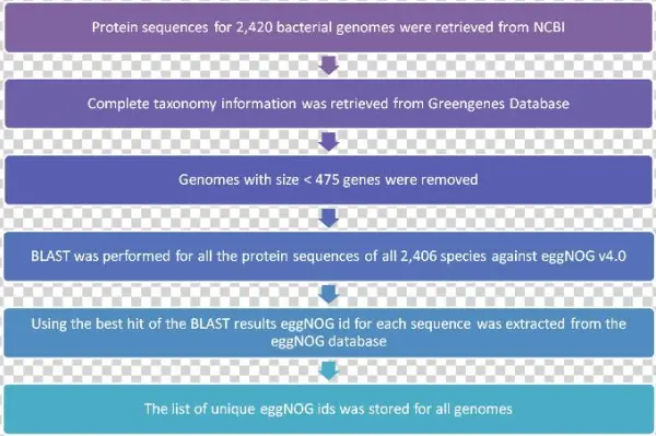 Blast Was Performed For All Proteins Of The Selected
