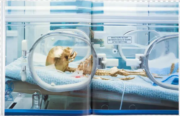 Damien Hirst Beyond Belief Signed Catalogue