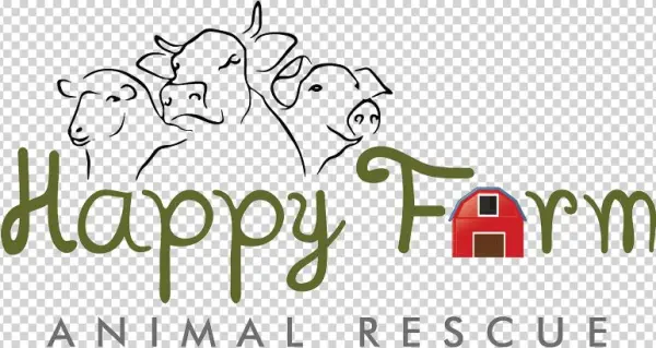 Facebook Twitter Youtube