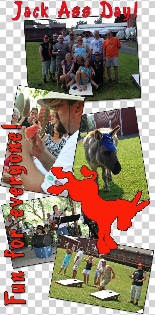 Jack Ass Side Banner