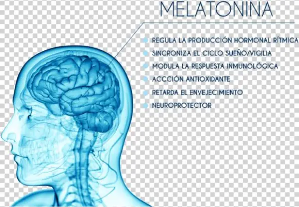 Melatonina Ventajas V2