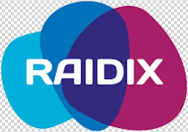 Raidix Is An Innovative Solution Provider And Developer