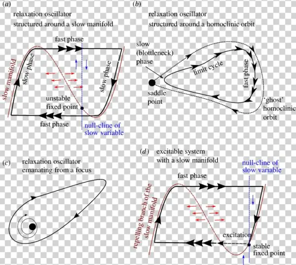 The Vector Space Is Structured By A Slow Manifold With