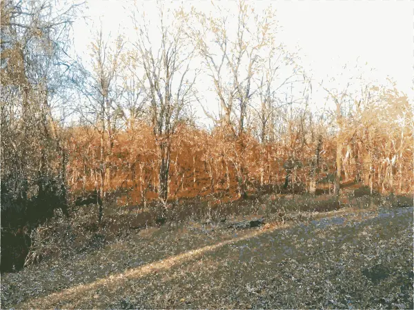 This Free Icons Png Design Of Missouri Nature 2