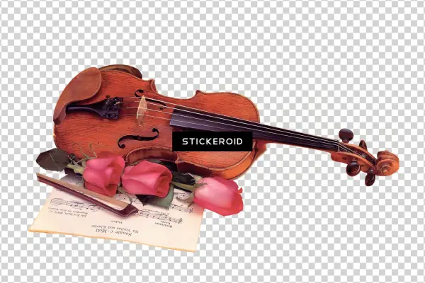 Violin And Bow