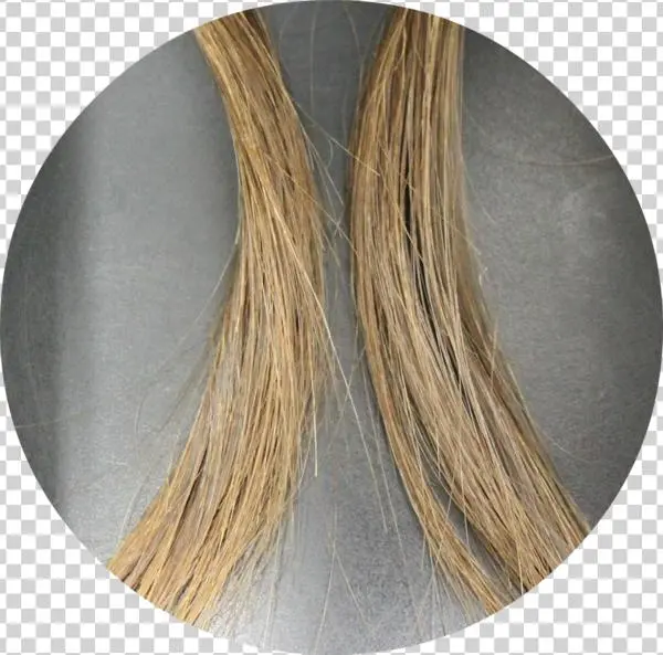 We Have Discovered Proprietary Biomolecule That Binds