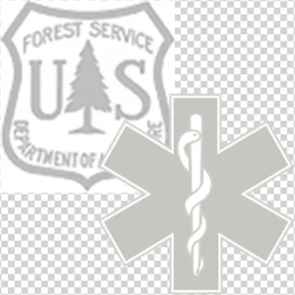 Ems Fs Sheild Logo