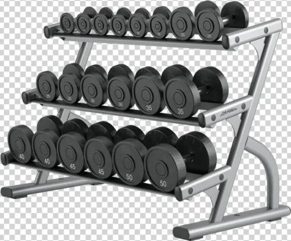 Images Of Life Fitness Weights