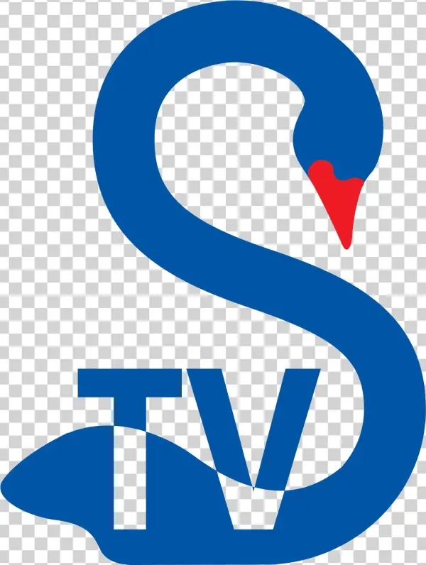 Last Week, The Blue Swan Daily Teased You With Our