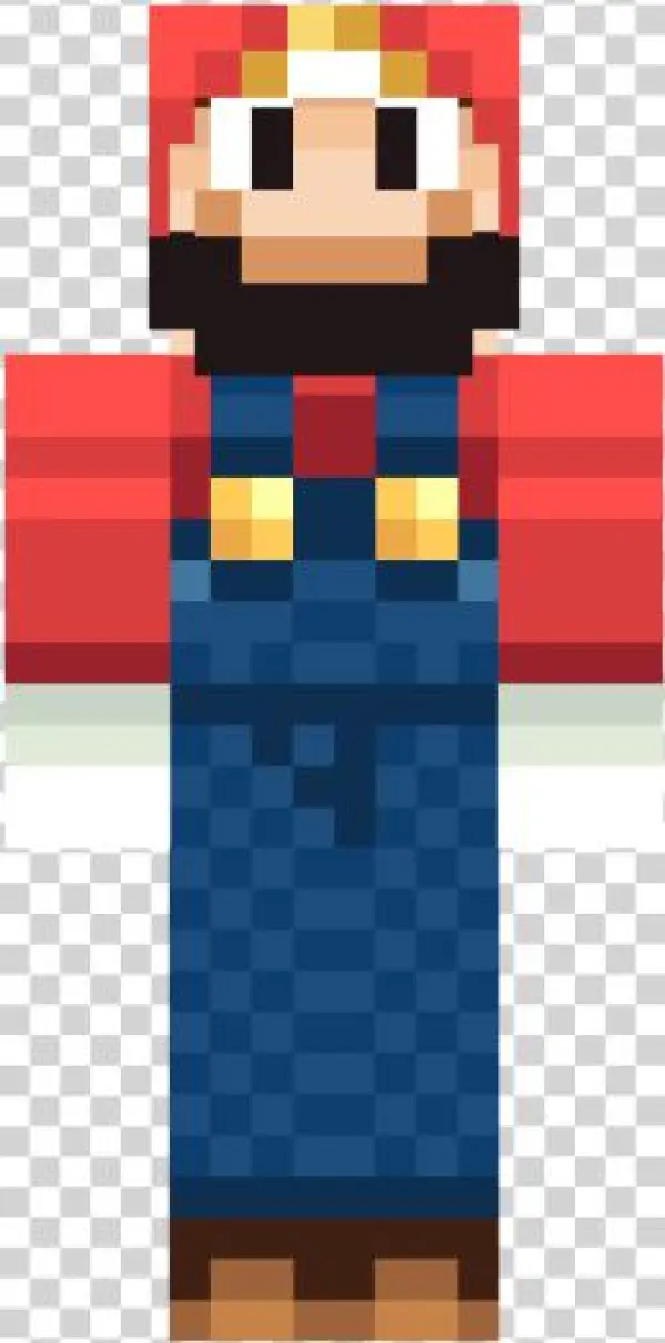 Mario Skin