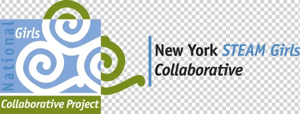Ny Steam Logo