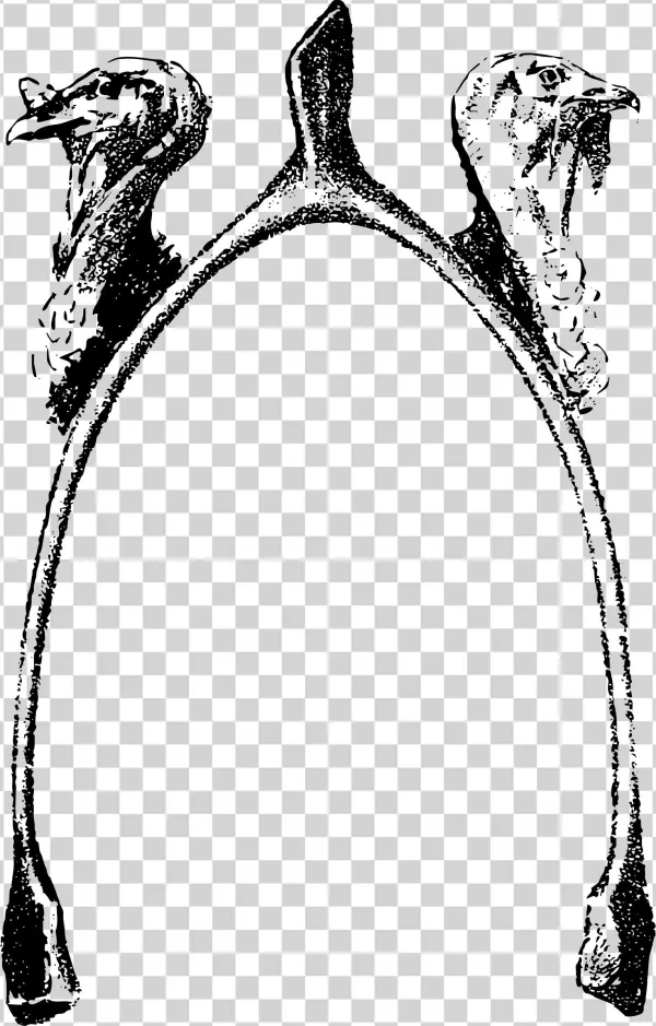 This Free Icons Png Design Of Turkeys With Wishbone