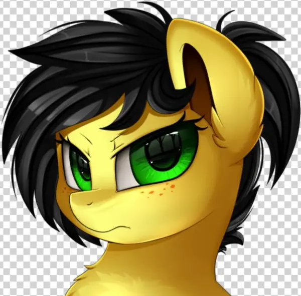 Toyminator900's Avatar