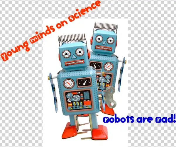 Young Minds On Science