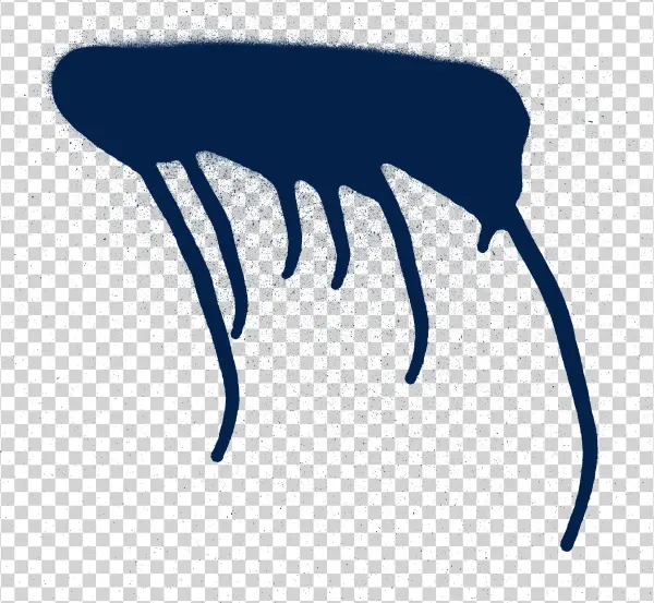 Young Turk, Seth Macfarlane Also Tweeted It