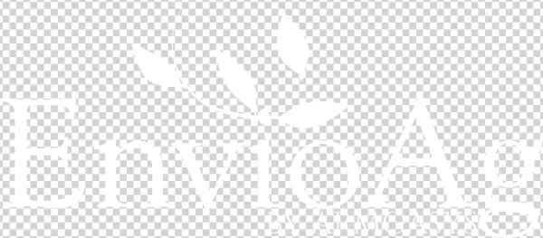 Download White Version 1800×822 Pixels Png