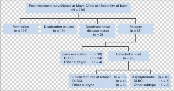Flowchart In Patients Followed At Mayo Clinic Or University